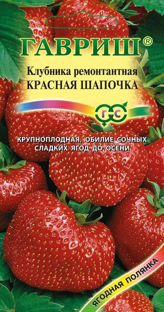 Земляника_Красная шапочка (кл)_0_г._Гавриш