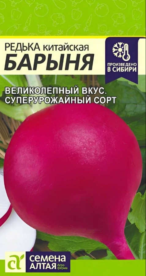 Редька_Барыня Зимняя Красная  Б/П_1_г._Семена Алтая