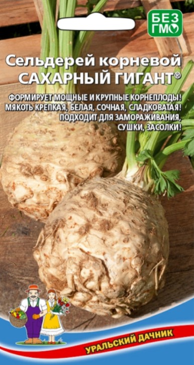 Сельдерей_Сахарный Гигант (корневой)_0,25_г._Уральский Дачник