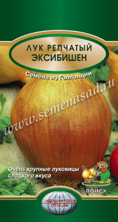 Лук_Эксибишен F1 (на репку)_0,5_г._Поиск