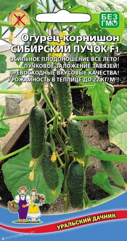 Огурец_Сибирский Пучок F1_8_шт._Уральский Дачник