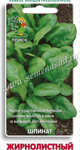 Шпинат_Жирнолистный_3_г._Поиск