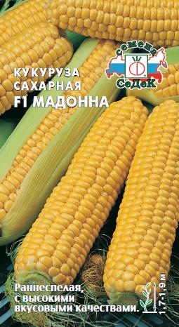 Кукуруза_Мадонна F1 сахарн_4_г._Седек