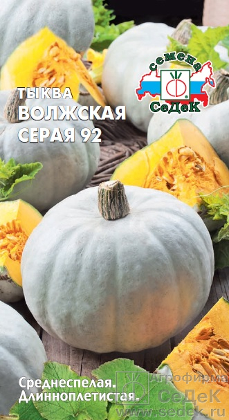 Тыква_Волжская серая_2_г._Седек