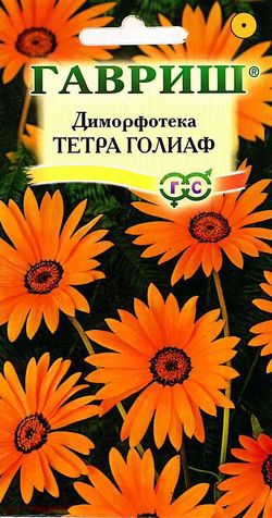 Диморфотека_Тетра Голиаф_0,1_г._Гавриш