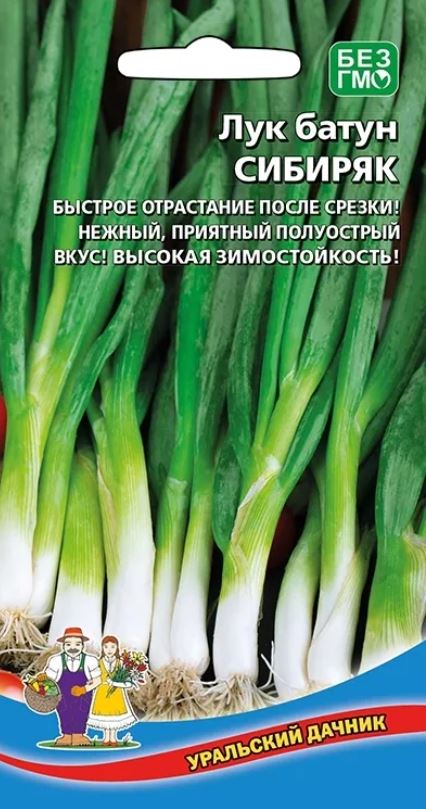 Лук_Сибиряк батун (многолетний)_0,04_г._Уральский Дачник