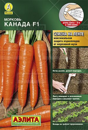 Морковь_лента_Канада_8_м._Аэлита