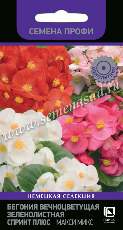 Бегония_Спринт плюс Макси микс (вечноцв)_15_шт._Поиск