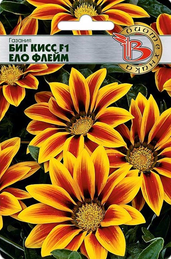 Гацания_Биг Кисс F1 Ело Флейм_7_шт._Биотехника