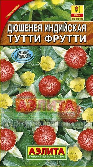 Дюшенея_Индийская Тутти Фрутти_0_г._Аэлита