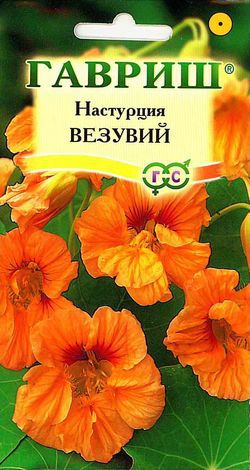 Настурция_Везувий (куст)_1_г._Гавриш