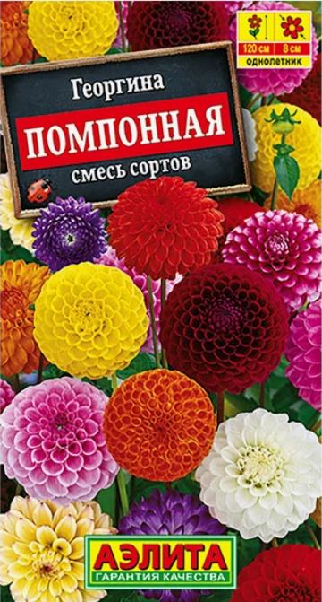 Георгин_Помпонная см_0,3_г._Аэлита Э