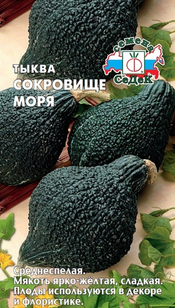 Тыква_Сокровище моря F1_1_г._Седек