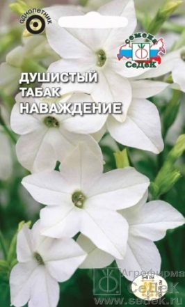 Табак душистый_Белый Наваждение_0,1_г._Седек
