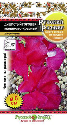 Горошек_Русский размер Малиново-Красный_6_шт._НК