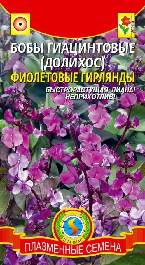 Бобы_Гиацинтовые (долихос) Фиолетовые гирлянды_1_г._Плазменные семена