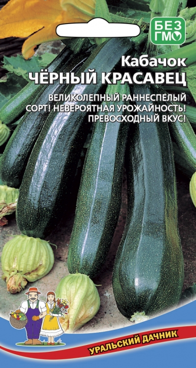 Кабачок_Черный красавец_10_шт._Уральский Дачник