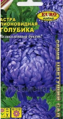 Астра_Голубика (пионовидная)_0,1_г._Аэлита Э