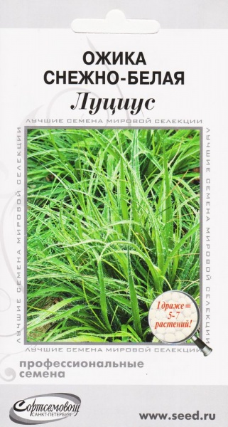 Ожика_снежно-белая Луциус (злак)_3_шт._Дом Семян С-П