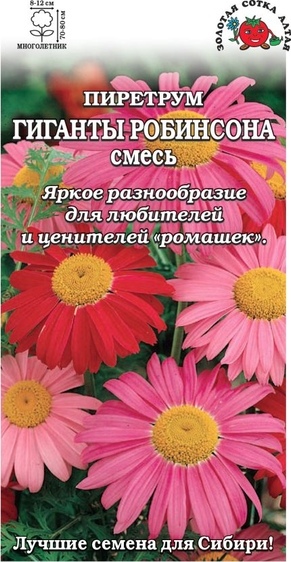 Пиретрум_Гиганты Робинсона см_0,2_г._Золотая Сотка Алтая