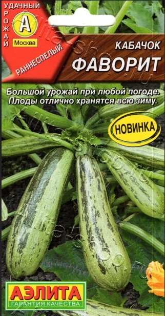 Кабачок_Фаворит_1_г._Аэлита