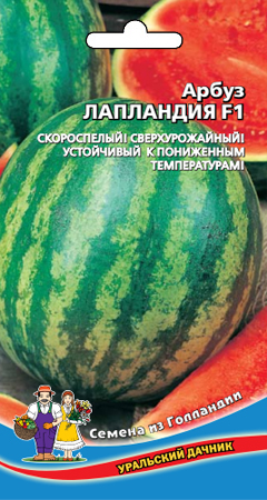 Арбуз_Лапландия F1_3_шт._Уральский Дачник