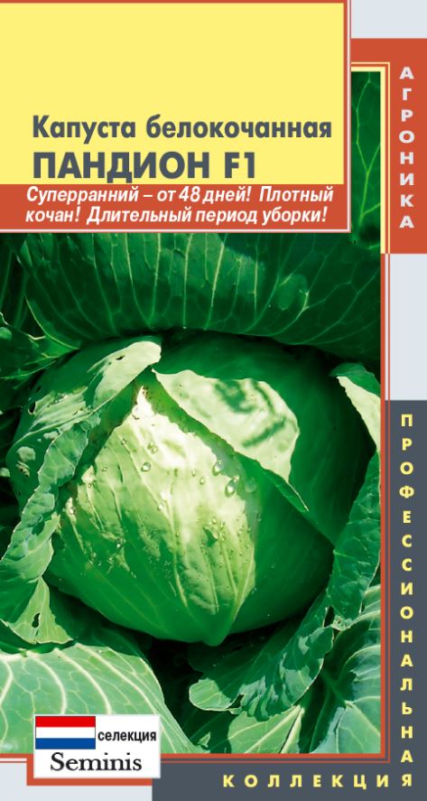 Капуста_б/к_Пандион F1_0,04_шт._Плазменные семена