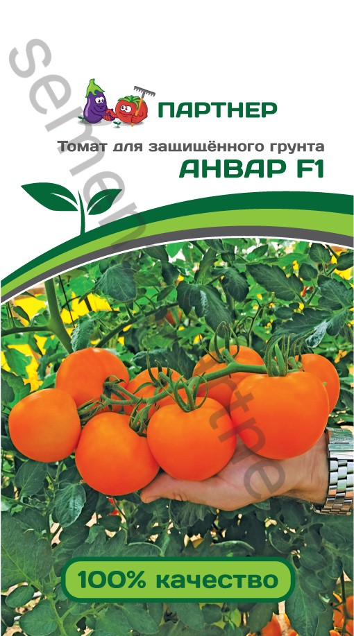 Томат_Анвар F1_5_шт._Партнер