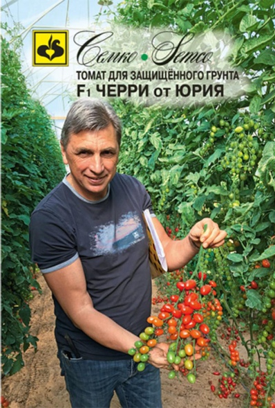 Томат_Черри от Юрия F1_5_шт._Семко