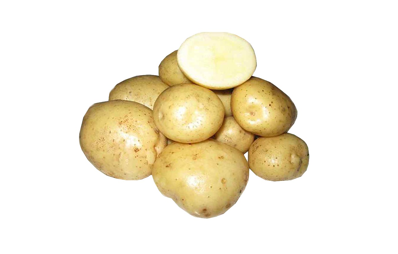 Адретта элита картофель