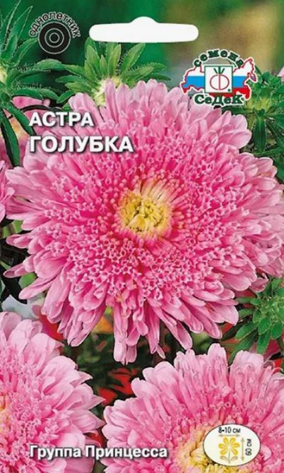 Астра_Голубка (принцесса, розовая)_0,2_г._Седек