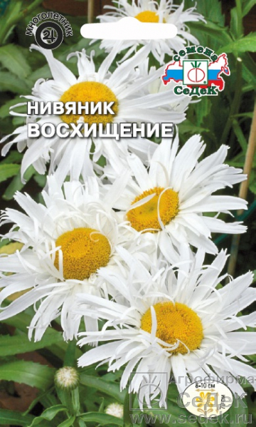 Нивяник_махр Восхищение_0,1_г._Седек