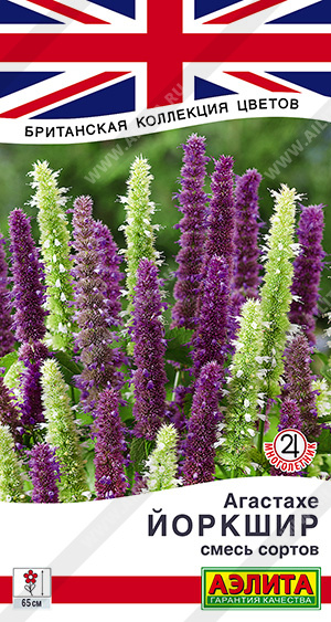 Мята_Йоркшир (агастахе) см_0,1_г._Аэлита