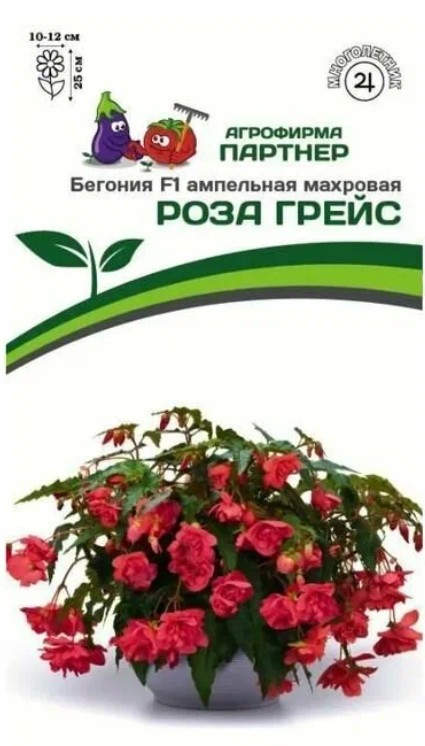 Бегония_Роза Грейс F1 (амп махр клубн)_5_шт._Партнер