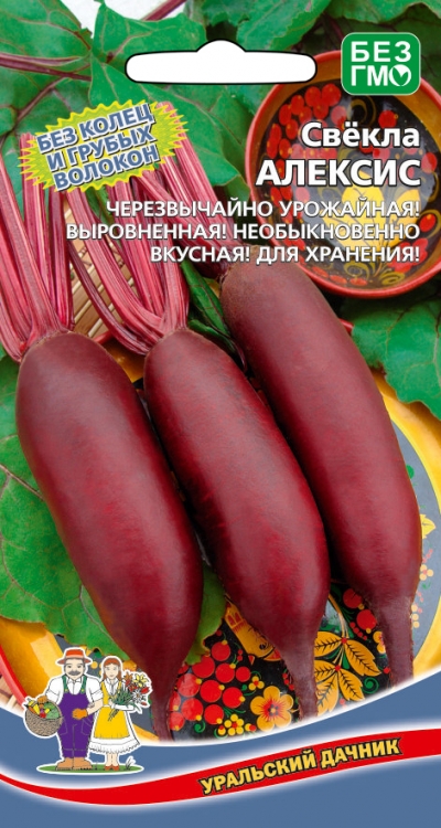 Свекла_Алексис_2_г._Уральский Дачник
