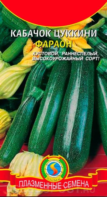 Кабачок_Фараон (цуккини)_0,04_шт._Плазменные семена