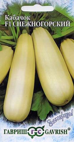 Кабачок_Снежногорский F1 Заморозь!_2_г._Гавриш