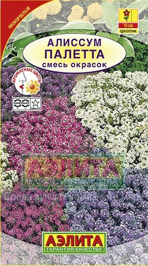 Алиссум (лобулярия)_Палетта см_0_г._Аэлита