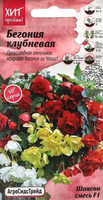 Бегония_Шансон смесь F1_0,04_шт._АгроСидсТрейд