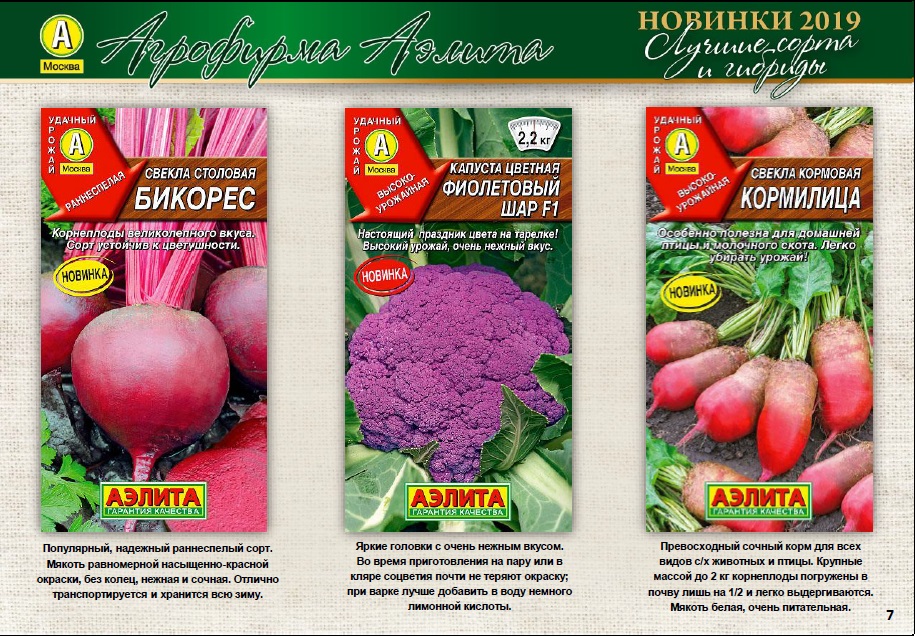 Свекла_Бикорес_3_г._Аэлита