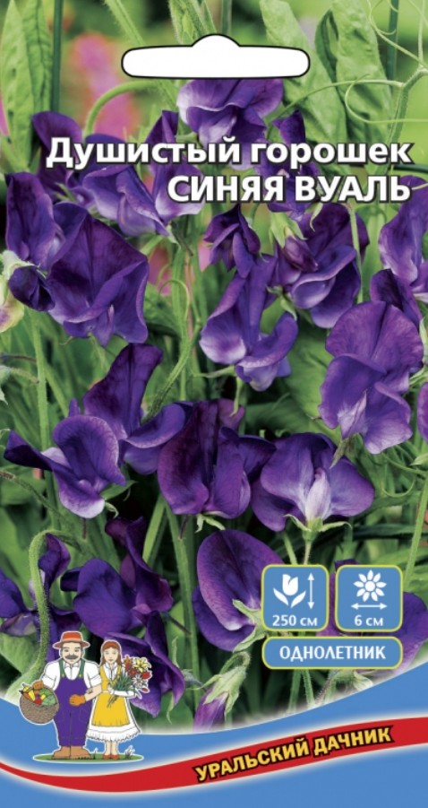 Горошек_Синяя Вуаль_10_шт._Уральский Дачник