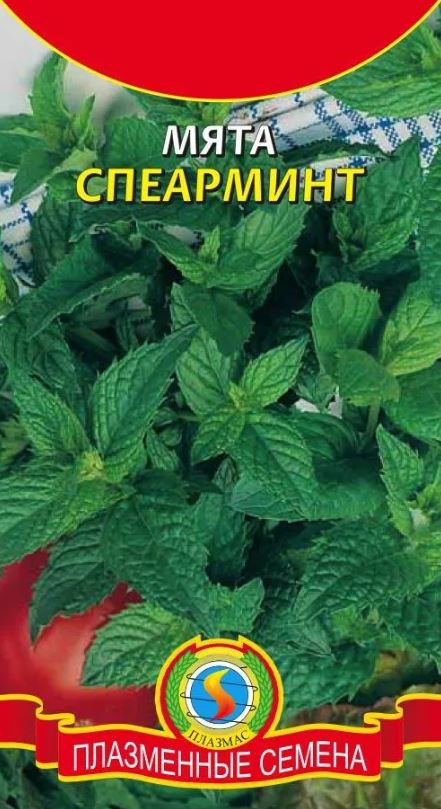 Мята_Спеарминт_0,04_г._Плазменные семена