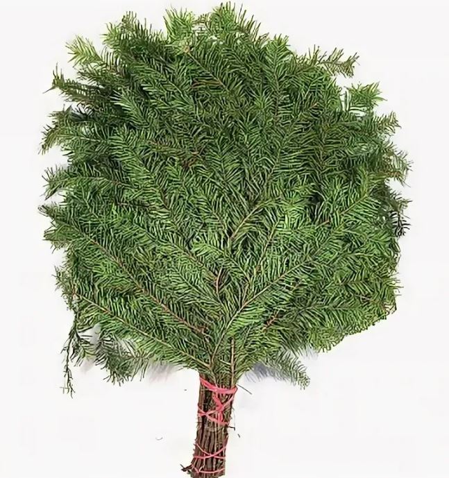 Веник ПИХТА ПРЕМИУМ