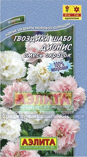 Гвоздика_Дионис (шабо) см_0,1_г._Аэлита