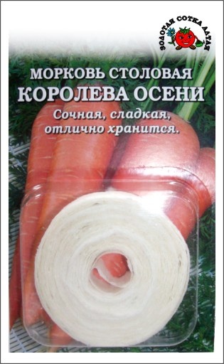 Морковь_лента_Королева Осени_8_м._Золотая Сотка Алтая