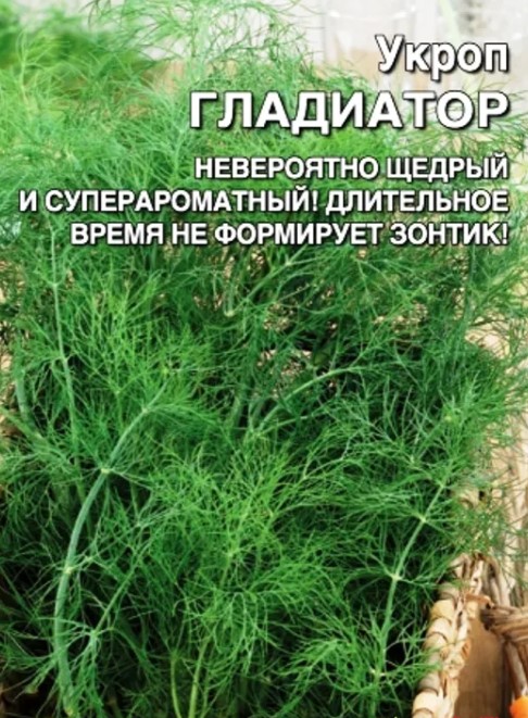 Укроп_Гладиатор_1_г._Уральский Дачник