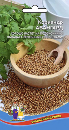 Кориандр (кинза)_Авангард_1_г._Уральский Дачник