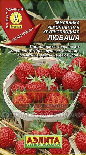 Земляника_Любаша (кл)_10_шт._Аэлита