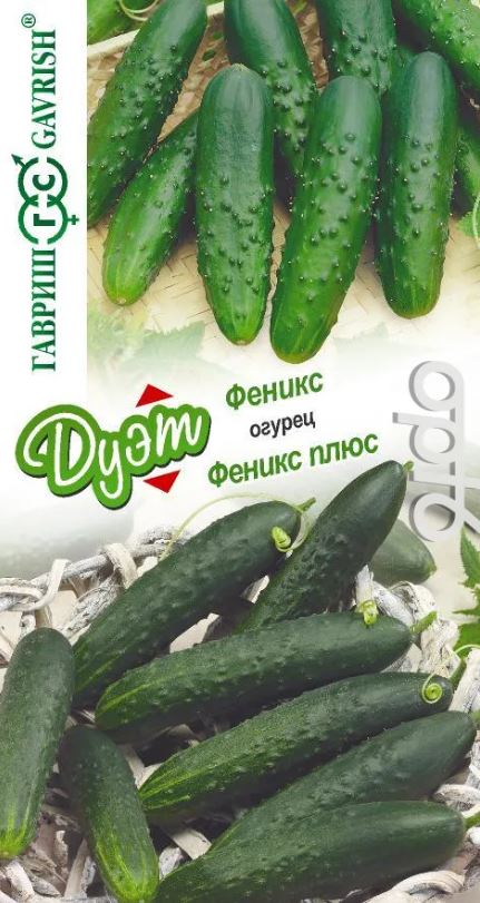 Огурец_Дуэт Феникс + Феникс плюс_0,04_г._Гавриш