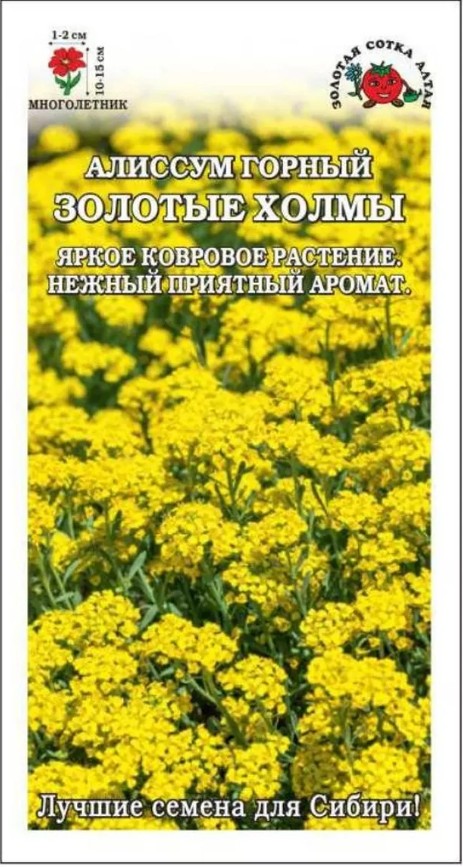 Алиссум (лобулярия)_Золотые Холмы (горный)_0,05_г._Золотая Сотка Алтая